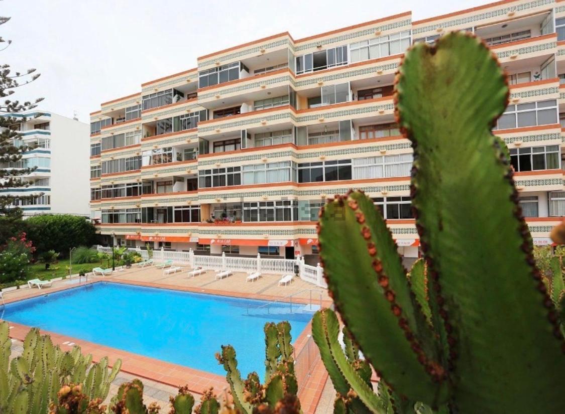 Calm, Cosy And Bright Apartment Renovated In Playa Del Ingles- Wifi Free מראה חיצוני תמונה